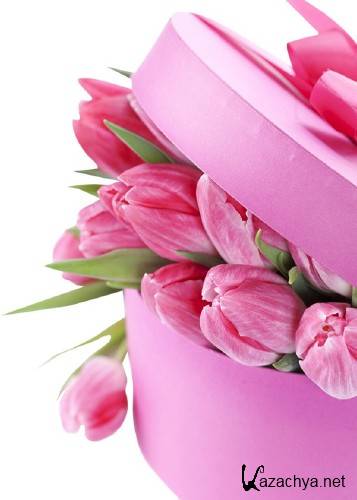 ����� � ������� (�������� ��������)