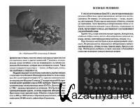 Сборник. Металлоискатели теория, сборка, схемы и их применение (DjVu - PDF) Сборник. Металлоискатели теория, сборка, схемы и их применение (DjVu - PDF)