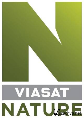 Viasat Nature:   :   / Infestation (2013) IPTVRip
