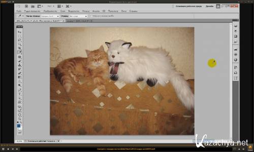  ��������� ������� ������������ ���� ������