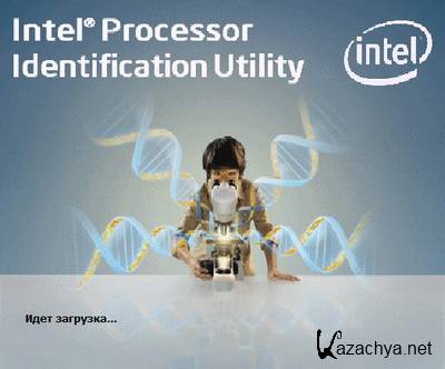 Intel Processor Identification Utility 5.01 [Ru/En]