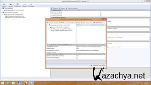 Raise Data Recovery for FAT/NTFS 5.15.2 (2014) ��