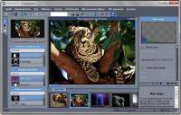 Mediachance Photo-Reactor 1.2.3 Rus Portable
