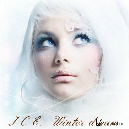 ICE. Winter dream (2014)