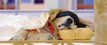 ��� �������� / Its Entertainment (2014/BDRip)