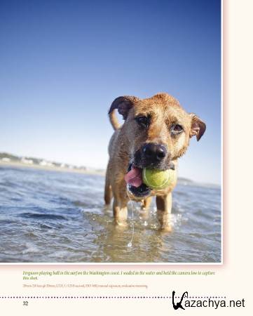 Beautiful Beasties: A Creative Guide to Modern Pet Photography