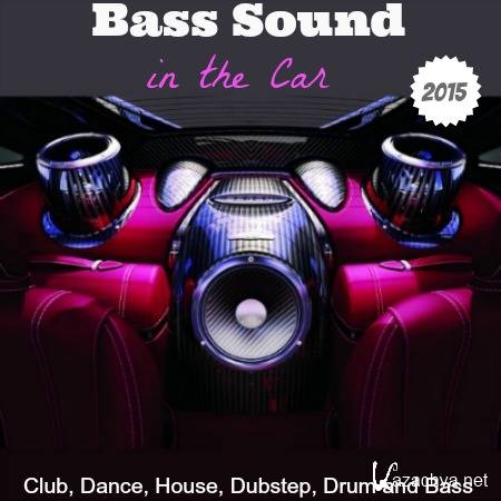 Bass Sound in the Car (2015)