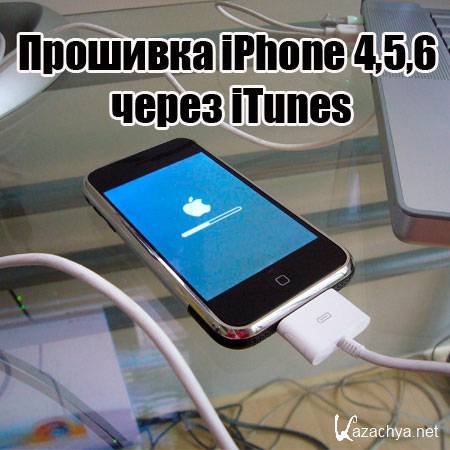  iPhone 4,5,6  iTunes (2014) WebRip