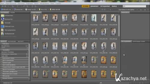    Adobe Bridge (2015)