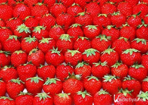 ��� (��������) �� ����