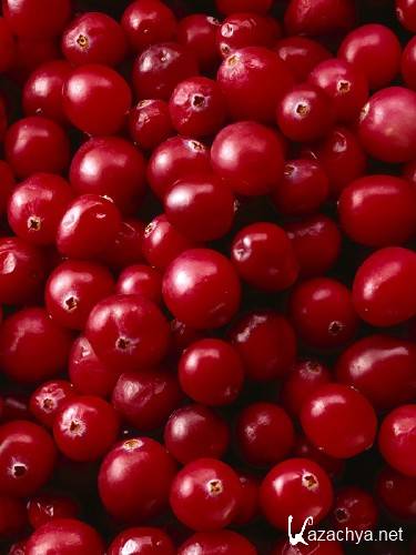 ��� (��������) �� ����