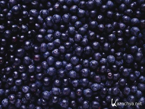 ��� (��������) �� ����