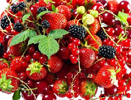 ��� (��������) �� ����