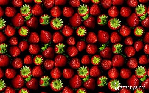 ��� (��������) �� ����