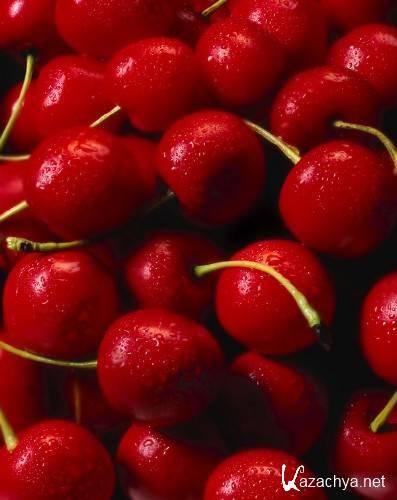 ��� (��������) �� ����