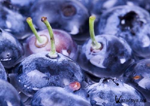 ��� (��������) �� ����