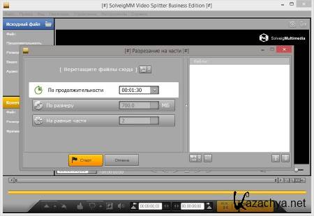 SolveigMM Video Splitter Business Edition 4.5.1502.27