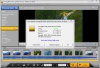 SolveigMM Video Splitter 4.5.1502.27 Business Edition Portable