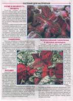 Вальс цветов. Спецвыпуск №3 (март 2015). Растения с цветными листьями Вальс цветов. Спецвыпуск №3 (март 2015). Растения с цветными листьями