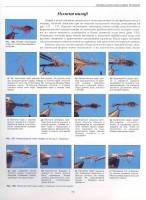  ������ ������. ����������� �����. ������������ ����������� �� �������   