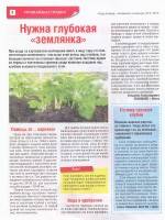  ���, ������ - �������� � ������ �7 (������ 2015)  