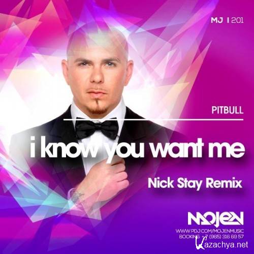 Pitbull - I Know You Want Me (Nick Stay Remix)