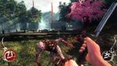 Shadow Warrior: Special Edition (v1.5.0/2013/RUS/ENG/MULTi11)