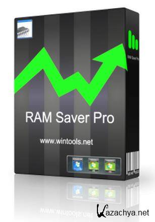RAM Saver Professional 15.0 (2015)