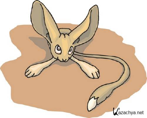 ������� (�������� � �������)