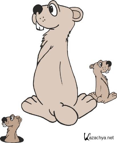 ������� (�������� � �������)