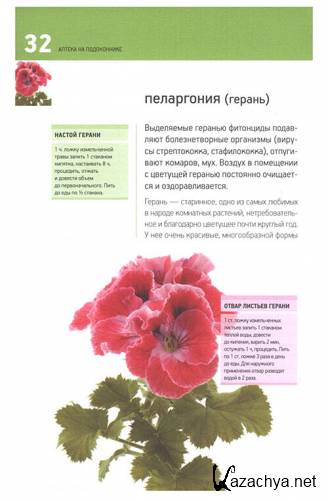  ������ �� �����������. �������� ������������� �������� (2012)