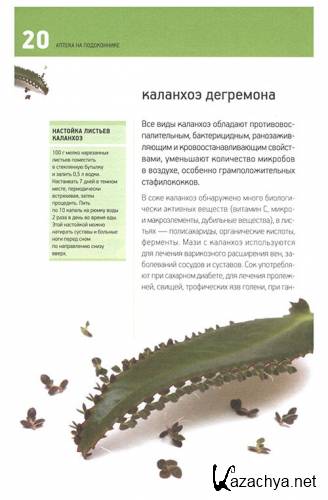  ������ �� �����������. �������� ������������� �������� (2012)