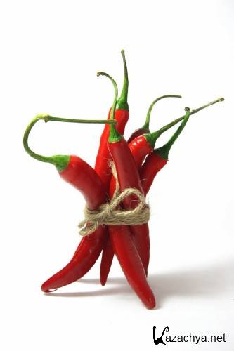 �����: ���������� � ������