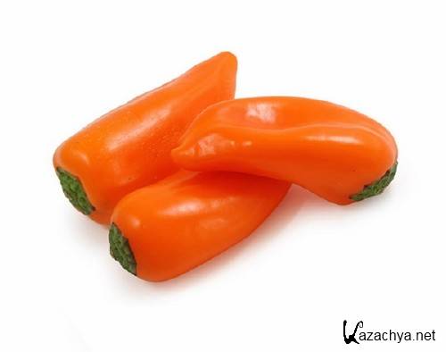 �����: ���������� � ������