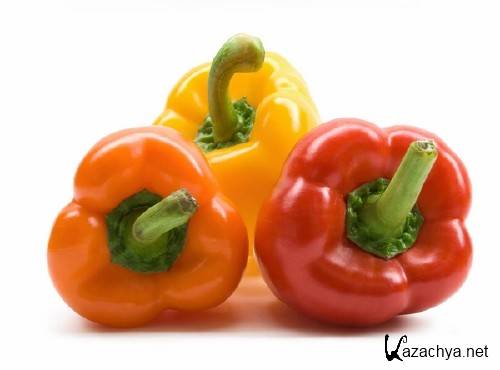 �����: ���������� � ������