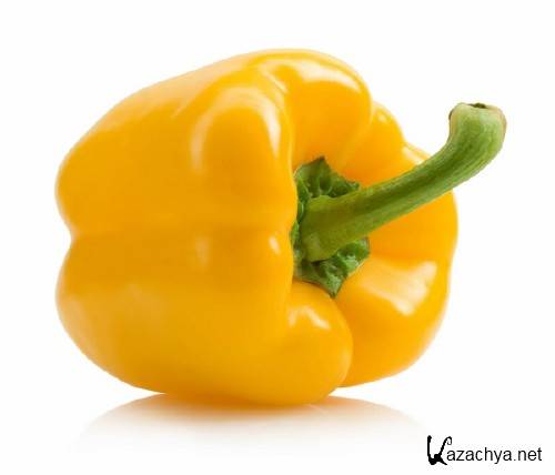 �����: ���������� � ������