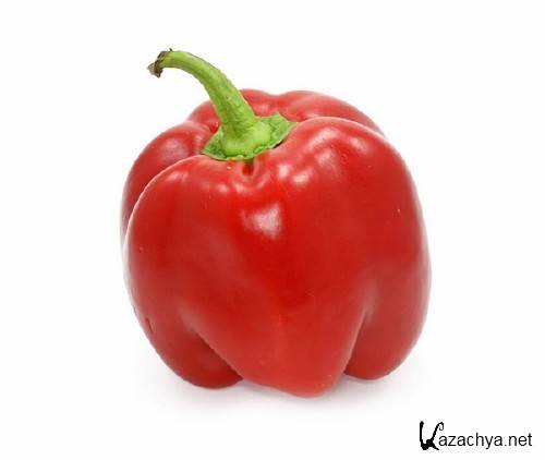 �����: ���������� � ������