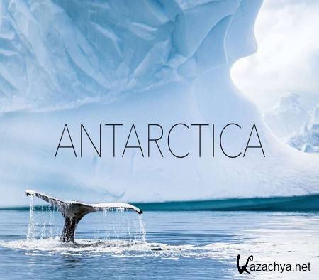   / Wild Antarctica (2015) HDTVRip (720p)
