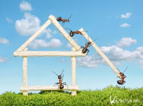 ������������ ������� (�������� �����������)