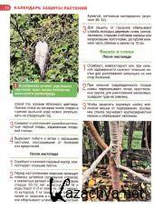 Сад. Огород. Цветник №12 (153) (декабрь / 2015) Сад. Огород. Цветник №12 (153) (декабрь / 2015)