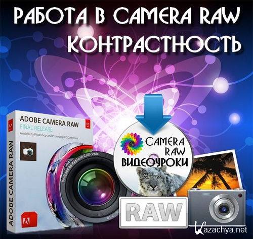   Camera Raw -  (2016) 