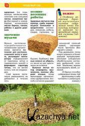 ������ ���� �4 (������ /  2015) 