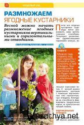 ������ ���� �4 (������ /  2015) 