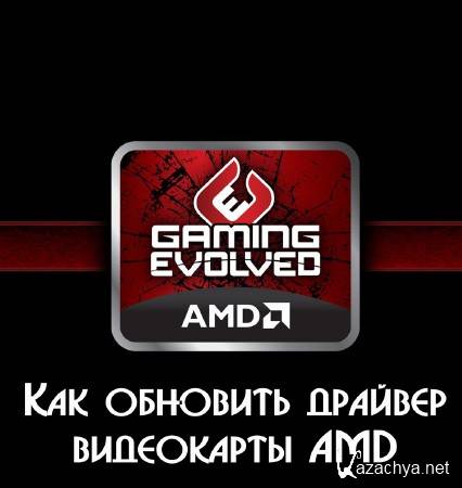     AMD (2015)