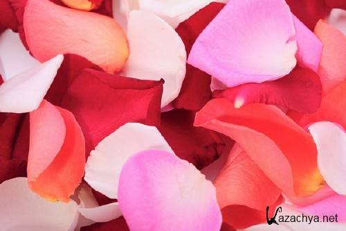 �������� ���������� ��� (�������� �����������)