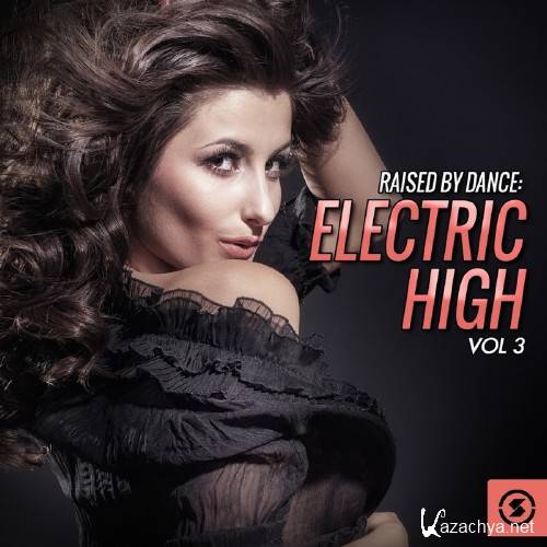 Raised by Dance: Electric High, Vol. 3 (2016)