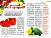  ������ ���� �2 (������� 2016). �������   