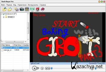 Flash Player Pro 6.0 DC 03.03.2016 + Rus Flash Player Pro 6.0 DC 03.03.2016 + Rus