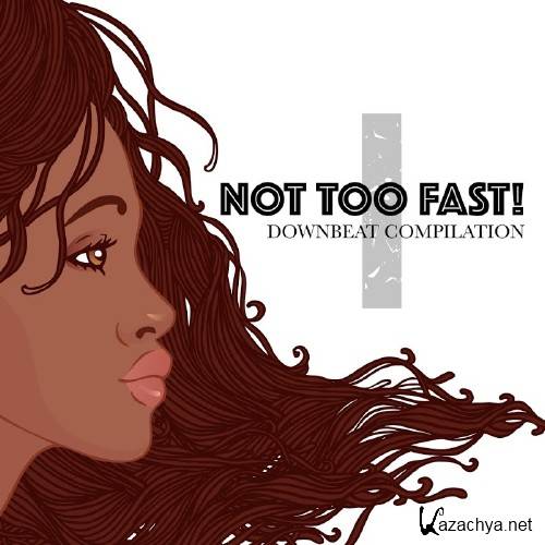 Not Too Fast 1: Downbeat Compilation (2016)
