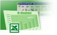 Microsoft Excel 2010/ 2007.  4.   VBA [2012, RUS]